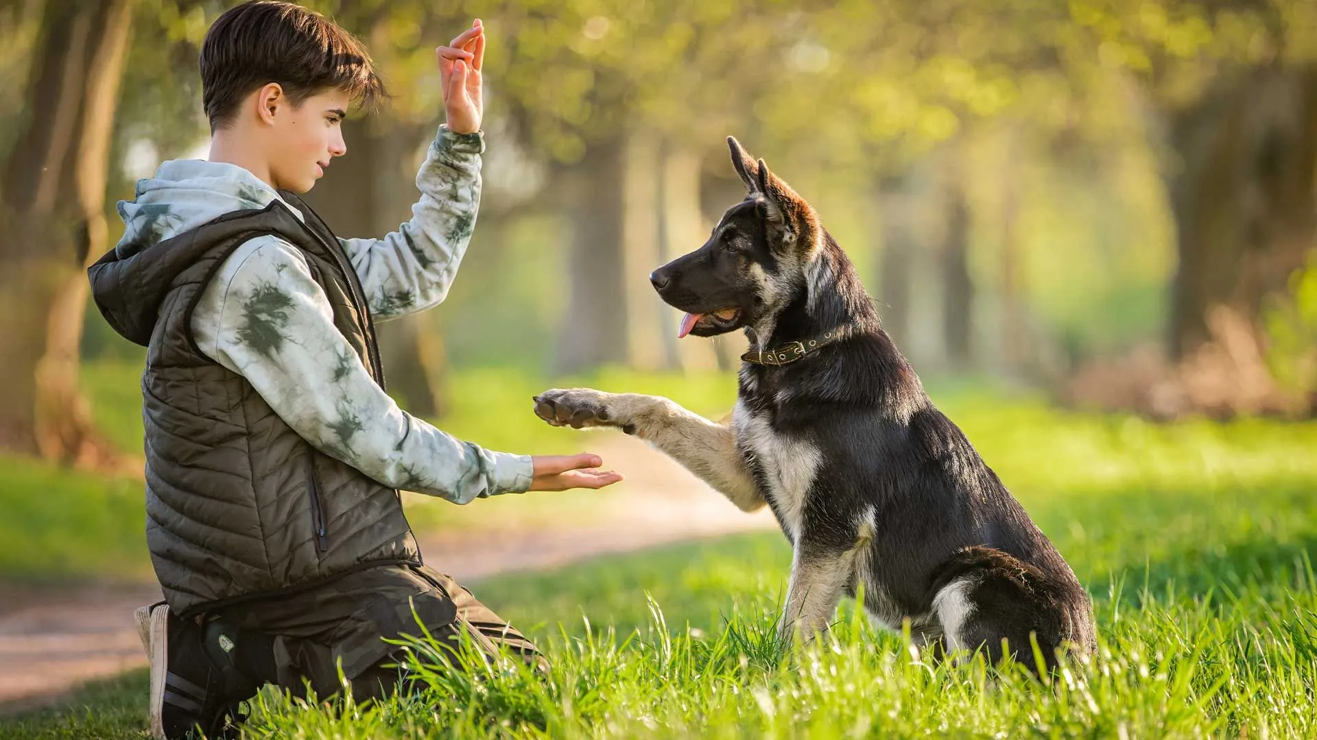 Dog enjoying a training session