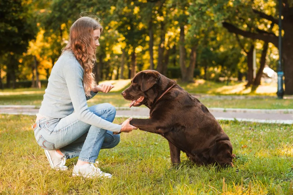 Social events with your dog!