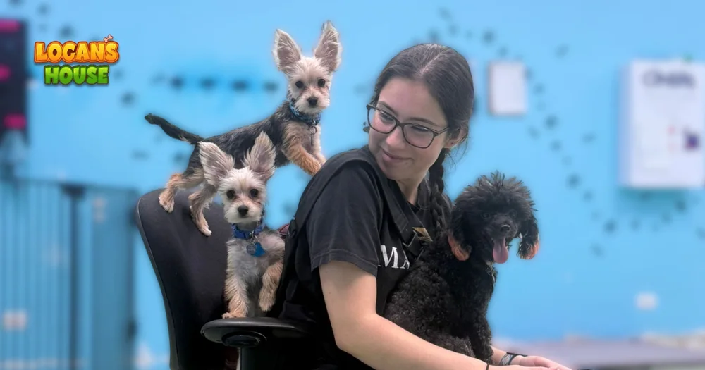 Is Doggy Daycare Worth It?