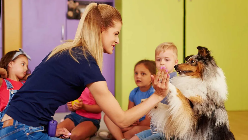 Why Your Dog Needs Daycare: A Solution for Busy Pet Parents