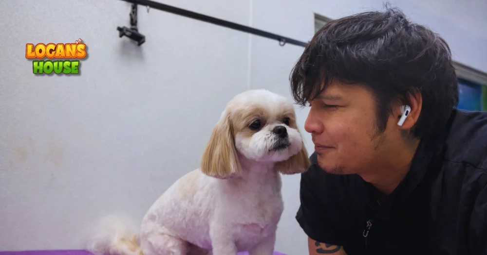 Do dogs feel better after grooming?
