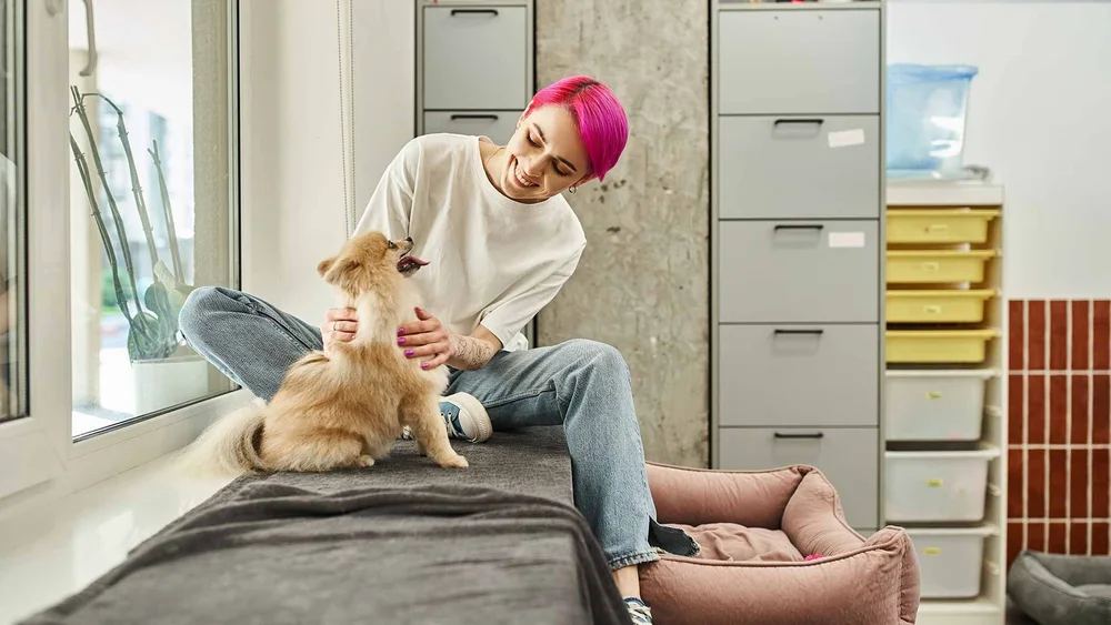 Changing Lives, One Bark at a Time: The Impact of Dog Day Care Jobs