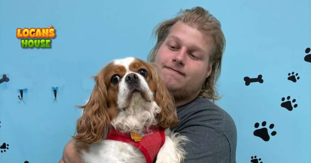 How much is dog day care near me?