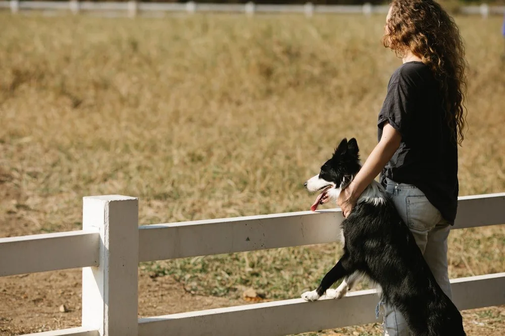 The Role of Pets in Promoting Wellness and Happiness